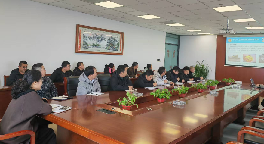 1742265664327127.png 2.png